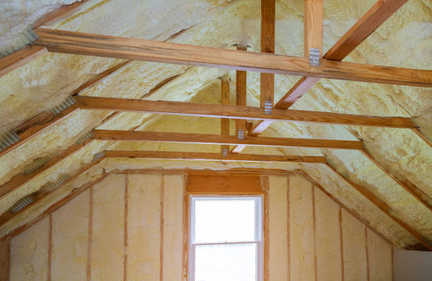 Best Insulation Removal  in King, NC