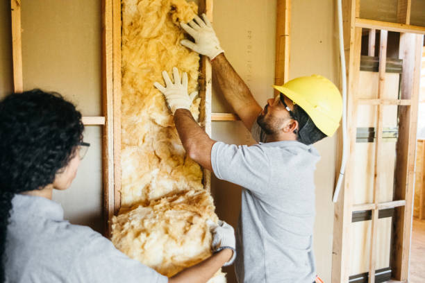 Best Insulation Contractors for Homes  in King, NC